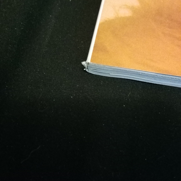 Harper's Bazaar Magazine The Art Issue Miley Cyrus December 2024/January 2025 - Picture 6 of 14